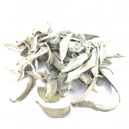 White Sage Salvia Apiana Natural Purification
