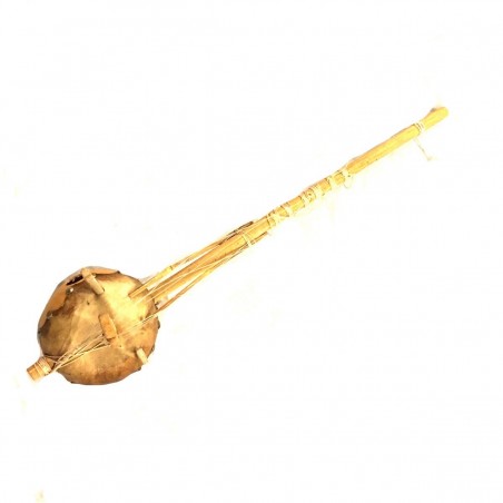 N'goni Instrument Music Calebasse Guitarra Kora