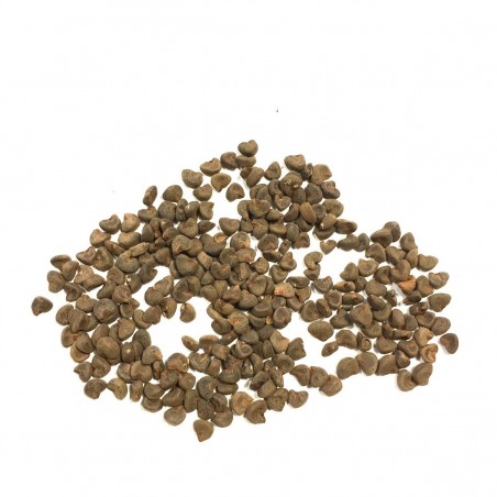 Seeds Hibiscus Bissap Burkina Karkadét