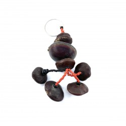 Key Door Seeds Mucuna Muscat Burkina