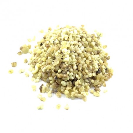 Resin Oliban Meditation Sudan Incense.