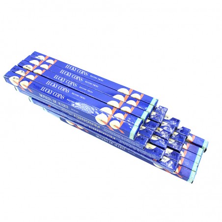 Räucherstäbchen Fengshui Glücksmünzen Glück Glück Fortune Darshan