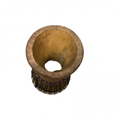 Conchiglia djembe per percussioni africane.