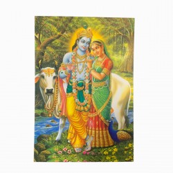 Krishna Radha Shepherd Love Postcard