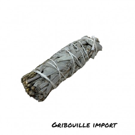 Bundle of white sage and desert sage.