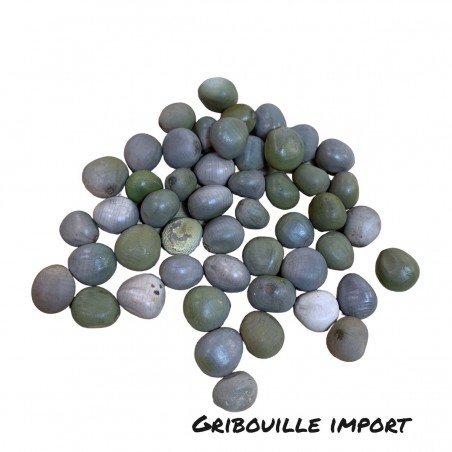 Graines Naturelles Jeu Awalé Pions Afrique Mancala Alé.