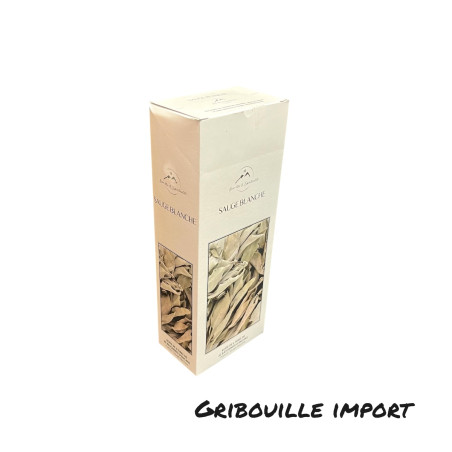 White sage Indian incense sticks