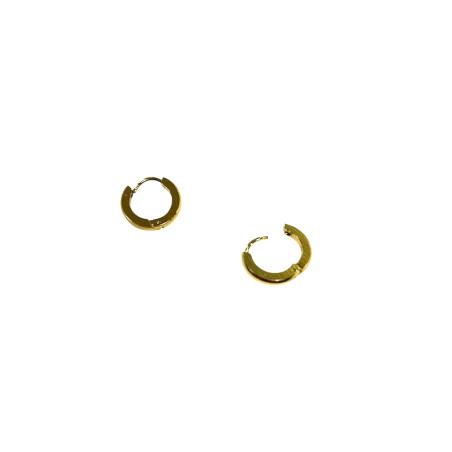 Ohrringe aus Stahl mit goldenen Ringen