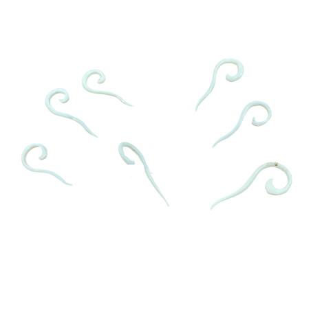 7 ethnische Stammes-Hornpiercings.