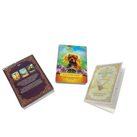 Il gioco di carte divinatorie Belline Oracle